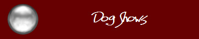 Dog Shows
